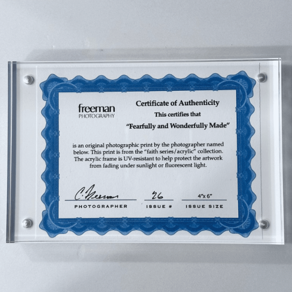 Fearfully and wonderfully made Cert of Authenticity